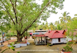 ശ്രീ തത്തകുളങ്ങര  ഭഗവതി ക്ഷേത്രം.