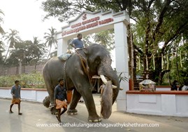 ശ്രീ തത്തകുളങ്ങര  ഭഗവതി ക്ഷേത്രം.